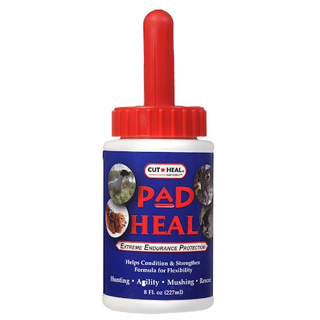 Cut-Heal Pad Heal 8 oz. 2761